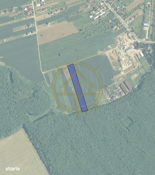 Dom00482 - teren 9247mp in ghermanesti la padure