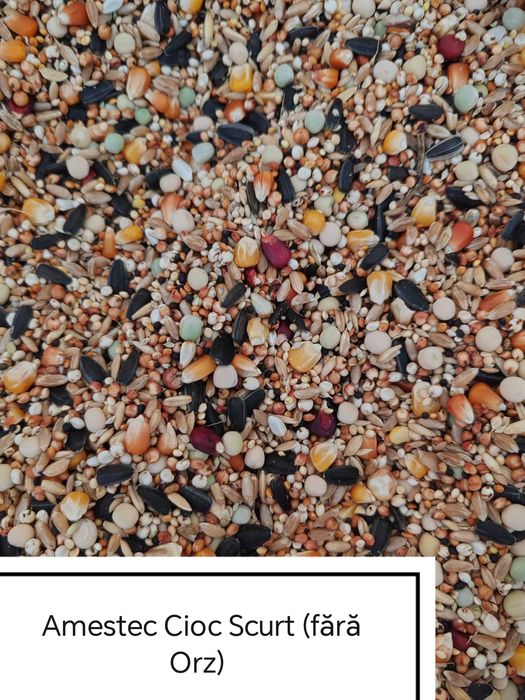 Hrana Porumbei,Turturele,Fazani,Potarnichi,Găini,Păuni,Rate,Pasari