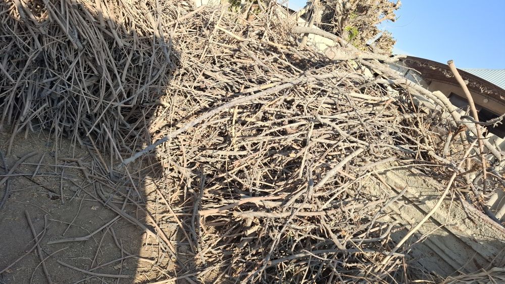 Залдори утинлари сотилади