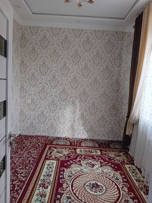 Shota Rustaveli yangi dom