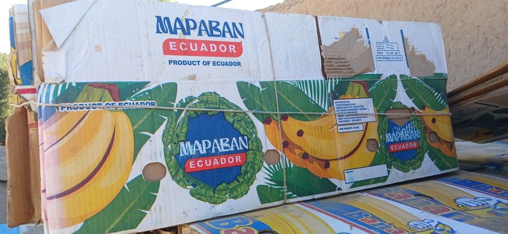 Banan Karobka sotiladi