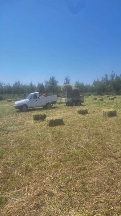 Vând baloți lucernă și fân – 15 lei/balot – Cuca, Argeș