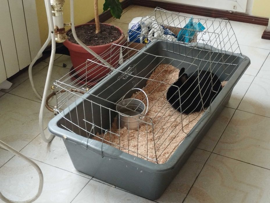 Трици от дърво  - алтернатива на талашит за домашни любимци