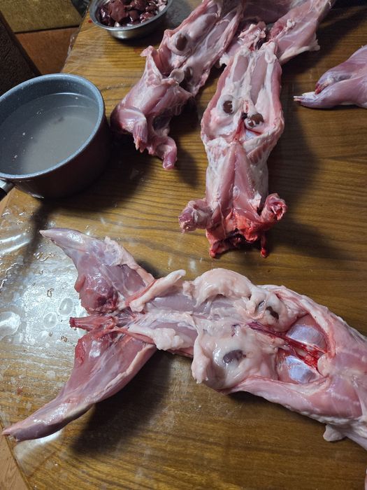 Carne de iepure de casă