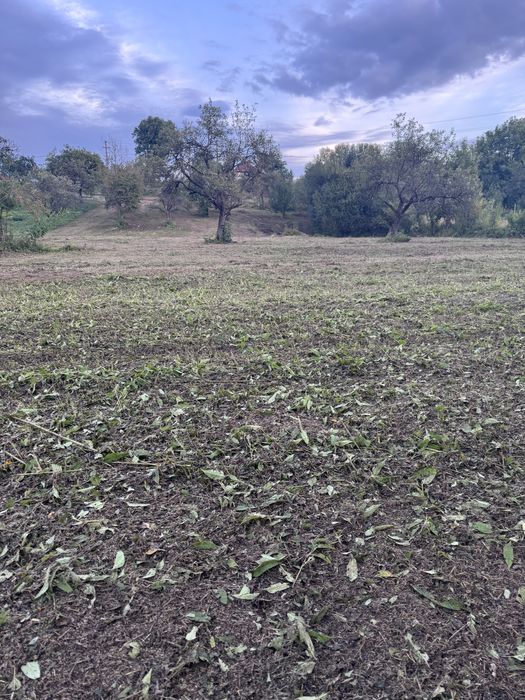 Teren / gradină intravilan , grădină cu pomi fructiferi