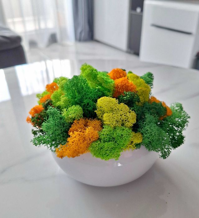 Декорации със скандинавски мъх