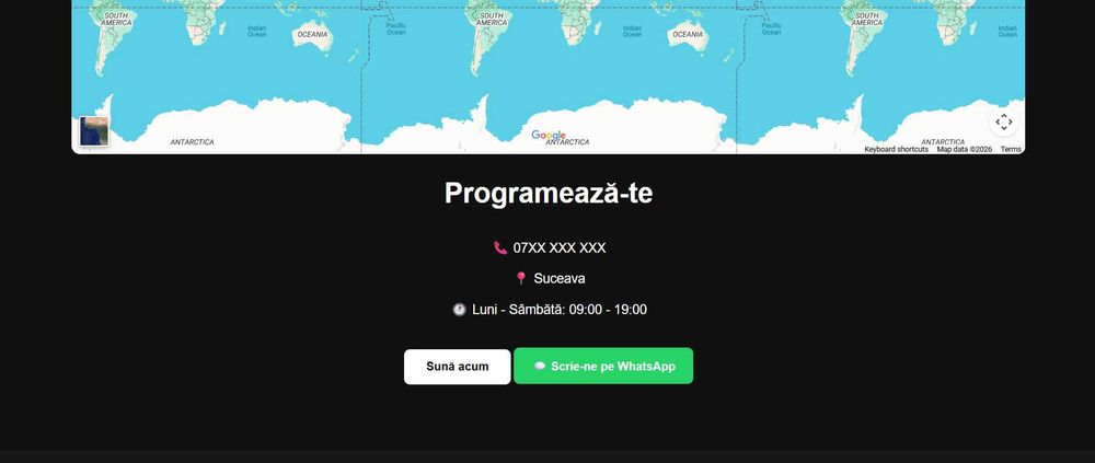 SITE-URI PROFESIONALE (pozele sunt doar exemple)