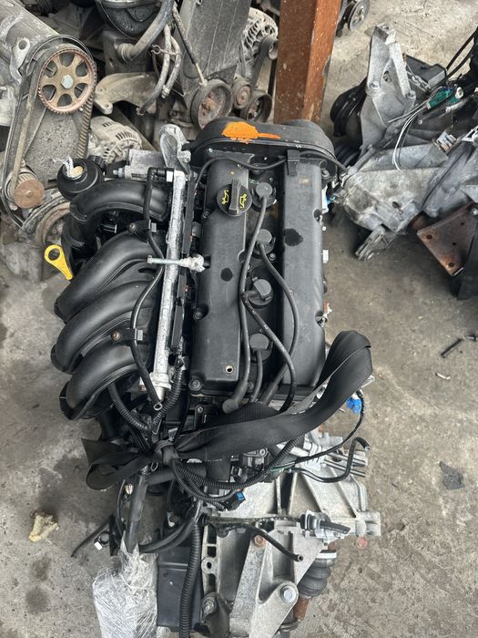 Двигатель форд фокс  1.6