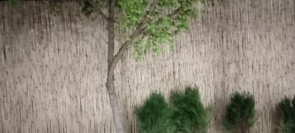 Decoration qamish decor