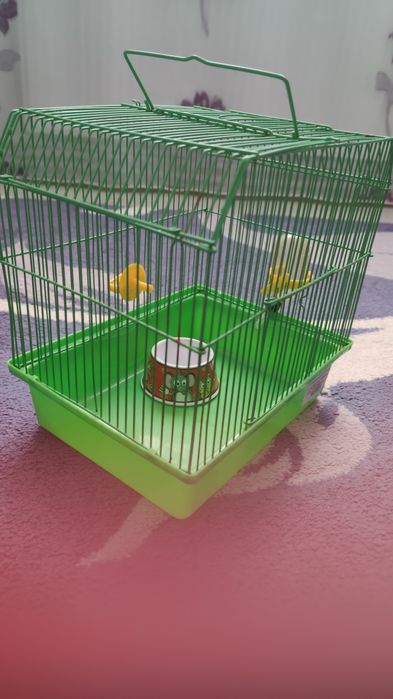 Cuști pt papagali