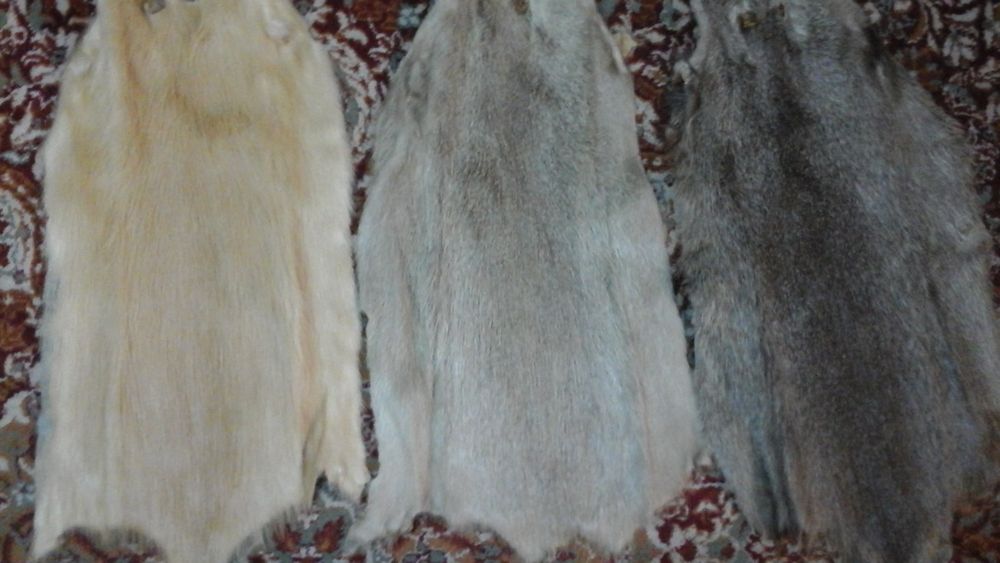 Blanuri Nutrie Diverse Culori