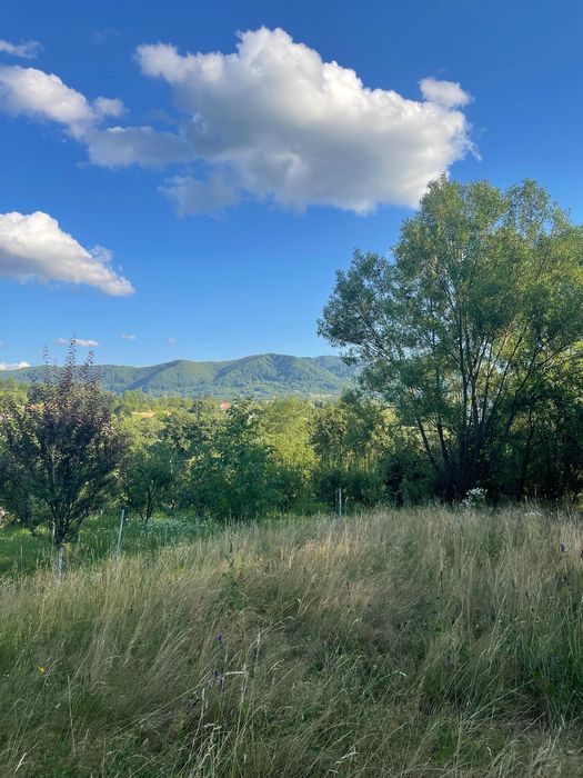 Teren intravilan de vânzare – 7.287 mp – Ibănești Pădure