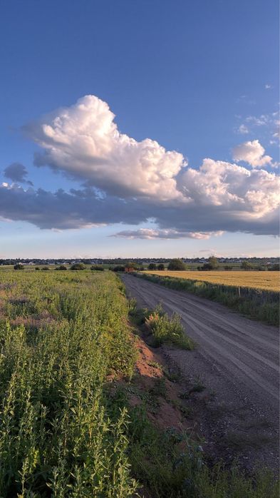Vand teren pentru casă. Dumbrăveni. 10 ari