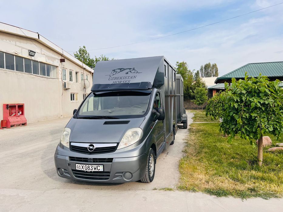 Коневоз Opel Vivaro отличном состоянии!!!