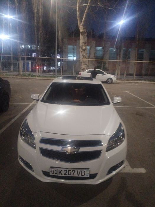 Malibu 1 kraska tozza