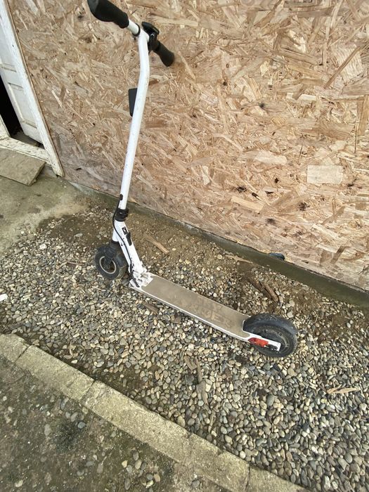 Myria Sky Rider Alba