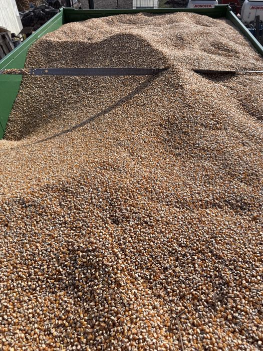 Graunte Pioneer STICLOS!