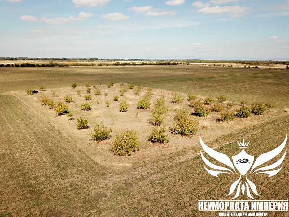 Продавам орехово градина 6650кв.м. в село Козаново