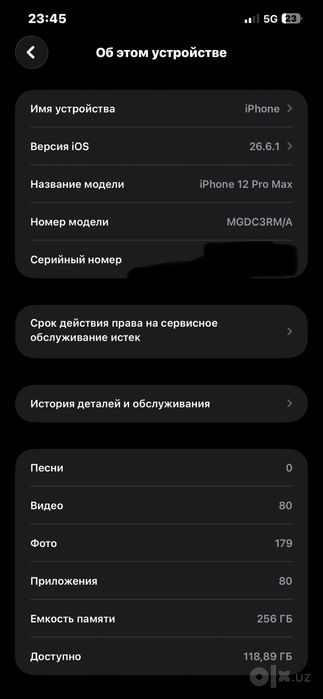 Iphone 12 pro max silver