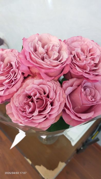 Продам цветы розы.