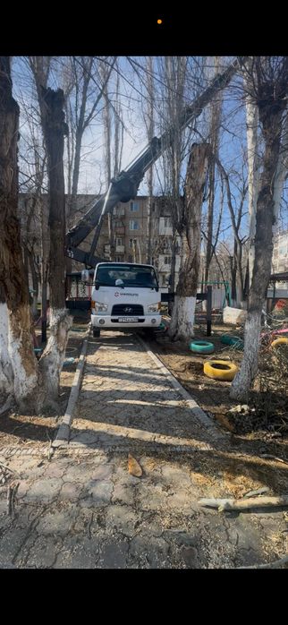 Спил деревья, Ағаш кесу