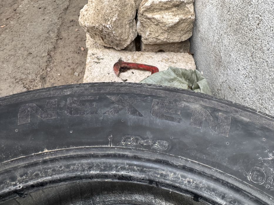 Резина Nexen R19