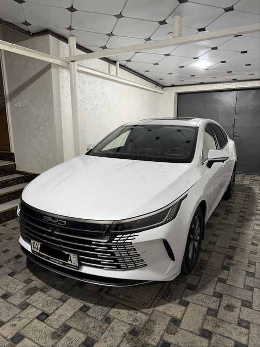 BYD Chazor 2024 — 2