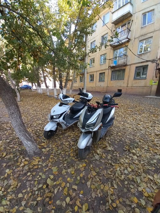 Продам мопед м10 веном