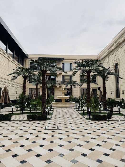 Сунний пальма дарахтлари Palma