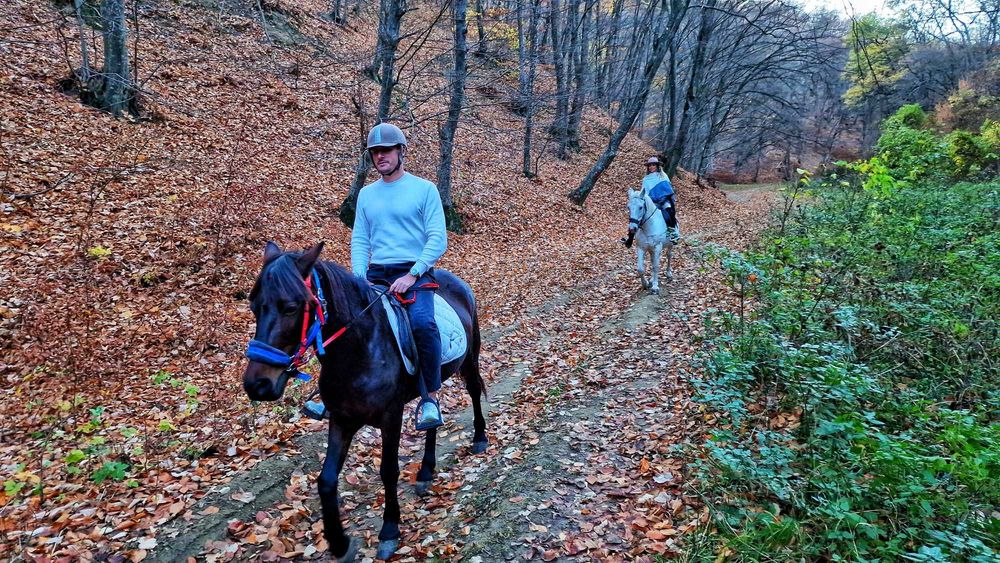 cursuri echitatie, plimbari calare in natura la 10 km de Buzau