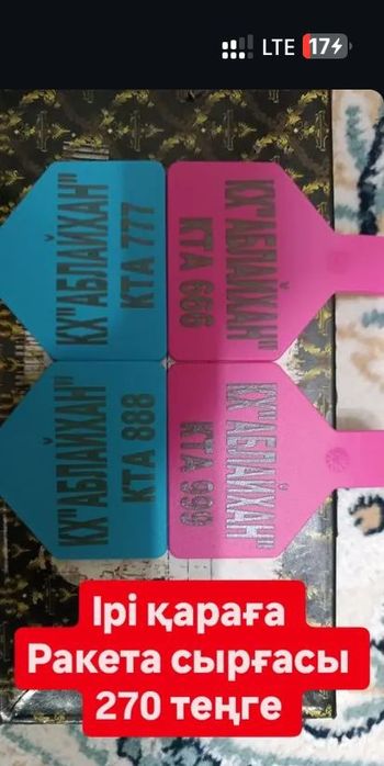 Алғашқы жыныстық қатынасқа қыздардың пікірлері