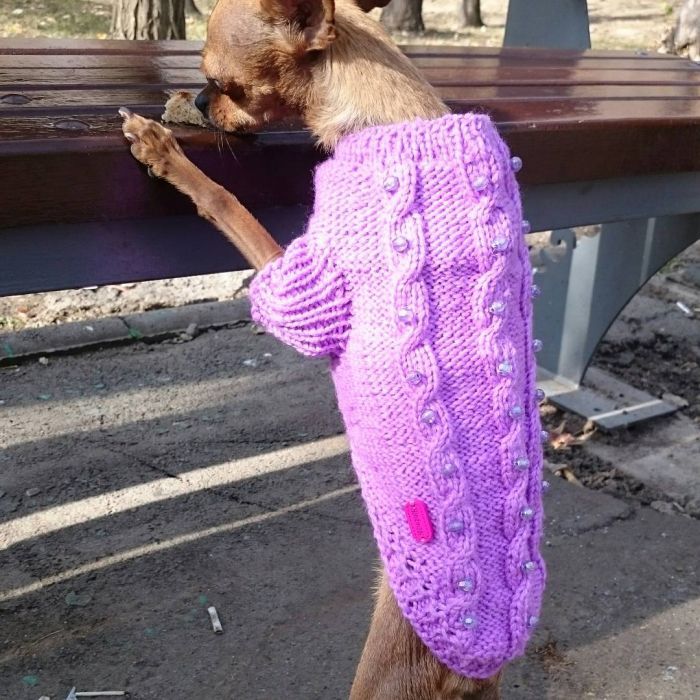 Свитерок для собачки новый