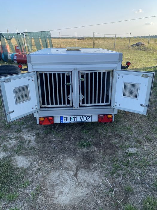 Remorca transport caini