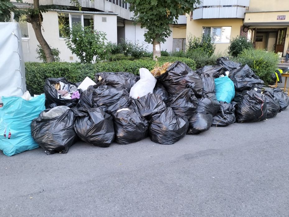 Debarasari si curățenie