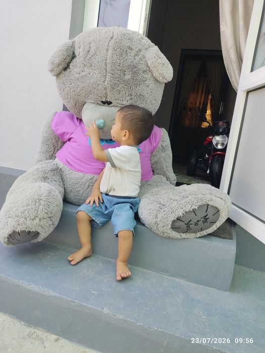 Katta ayiq teddy bear