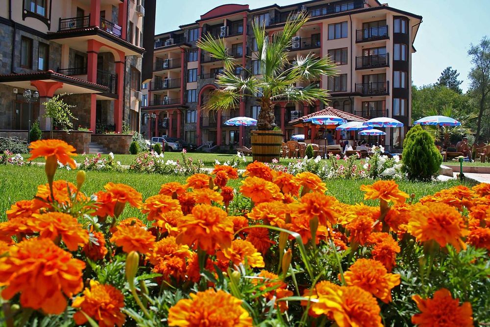 Продава се Едностаен апартамент в Несебър - 49 кв.м за 1021 €/кв.м - Снимка #11