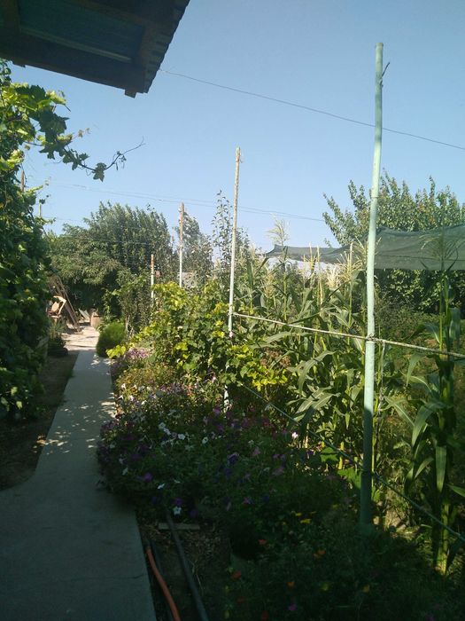 Продаётся дом в п. Талсуат