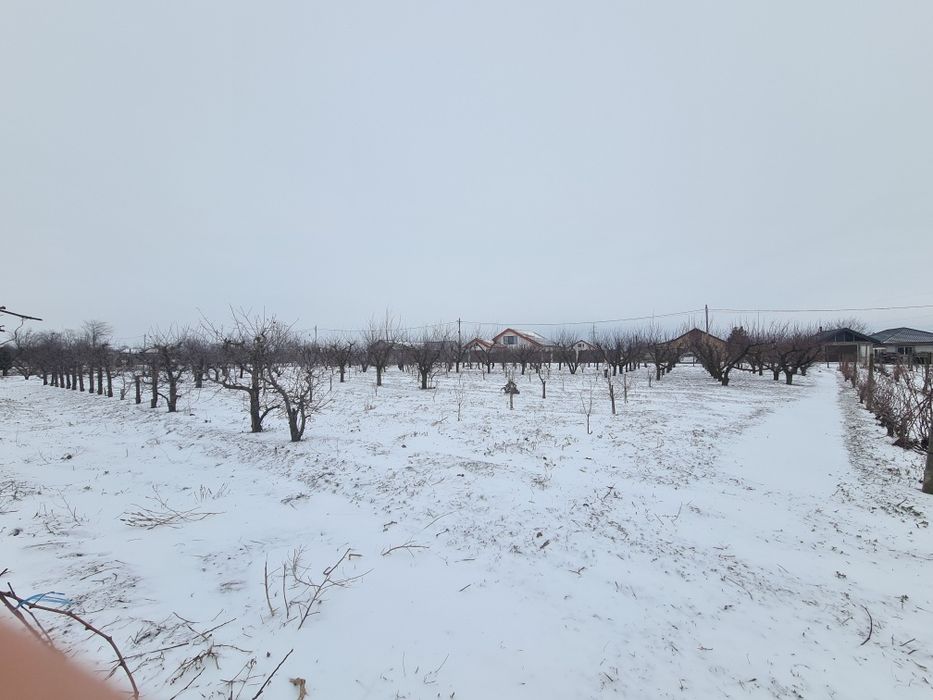 Vând Teren Intravilan Pecineaga