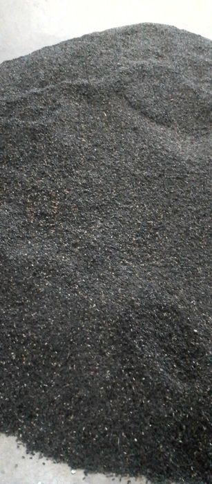 Floarea soarelui recoltā 2025