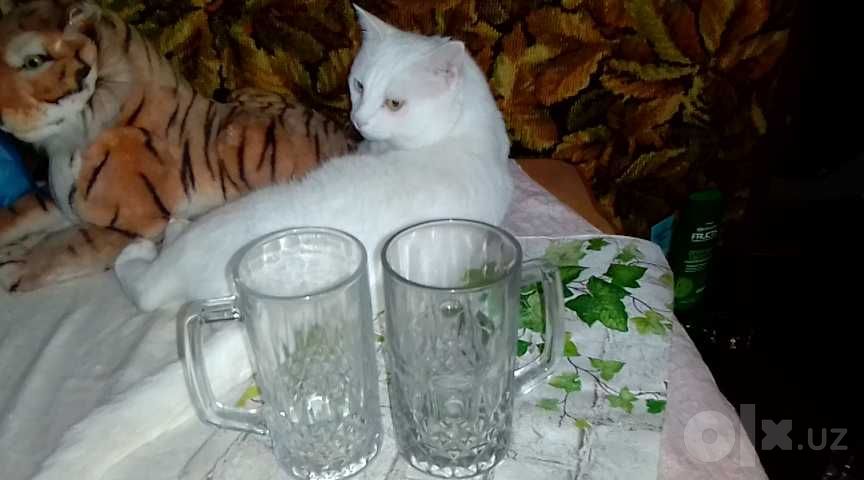 бокал для пива 0,5 литра