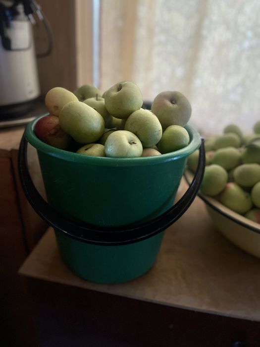 Продам 2 ведра яблок