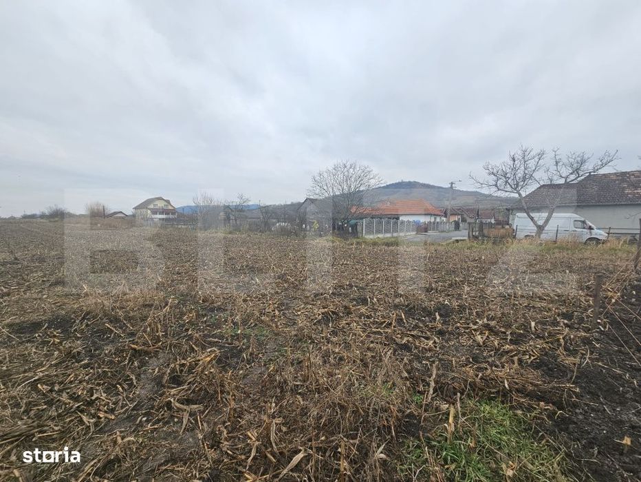 Teren extravilan 9000 mp, Ocna Mureş