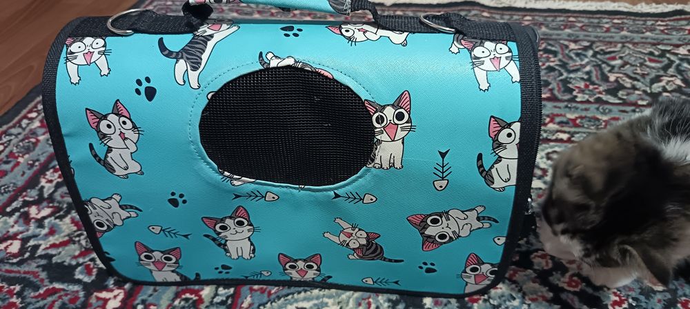 Переноска красивая