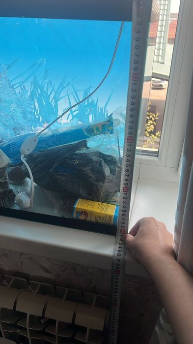 Продам аквариум, и со всеми аксессуарами