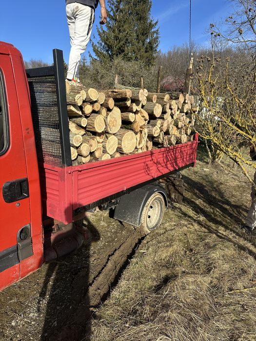 Vand lemne diferite esente