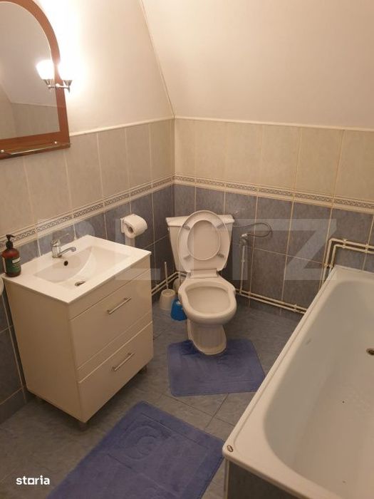 Proprietate cu doua cladiri in curte in apropiere de Cheile Turzii P+M