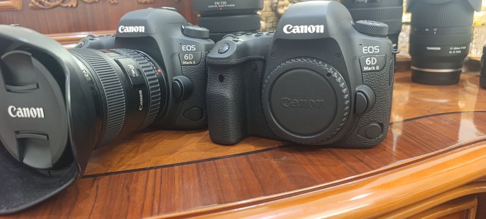 Canon 6D Mark ll+100mm Marko объектив+профессиональный спичка Godox.