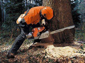 Спил деревьев любой сложности