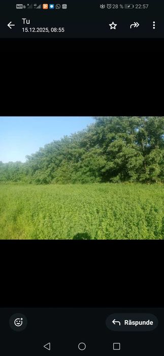 Vand teren intravilan Braesti