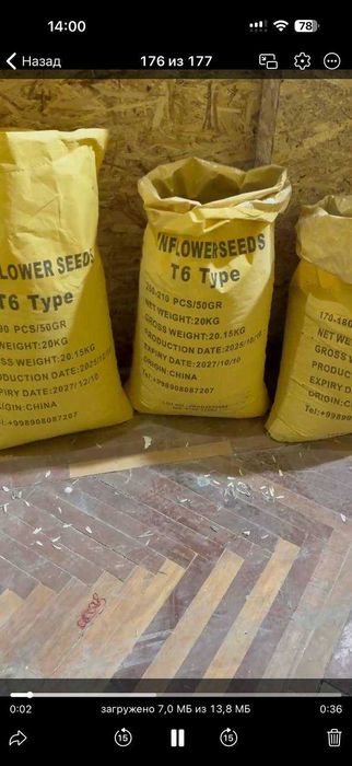 Семечка, писта бор, Хитой